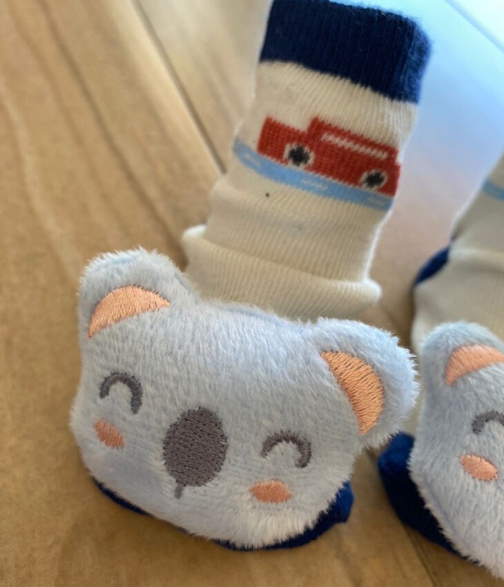 fernandaramoskids com br Meia Infantil Masculina Antiderrapante Off White com Bichinho1