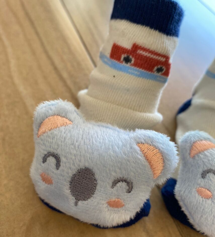 fernandaramoskids com br Meia Infantil Masculina Antiderrapante Off White com Bichinho1