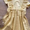 fernandaramoskids com br Vestido Infantil Feminino Rodado Laise Amarelo1