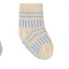 Kit com 3 Meias Infantil Masculina Antiderrapante Azul e Bege Tigre Fernanda Ramos Kids
