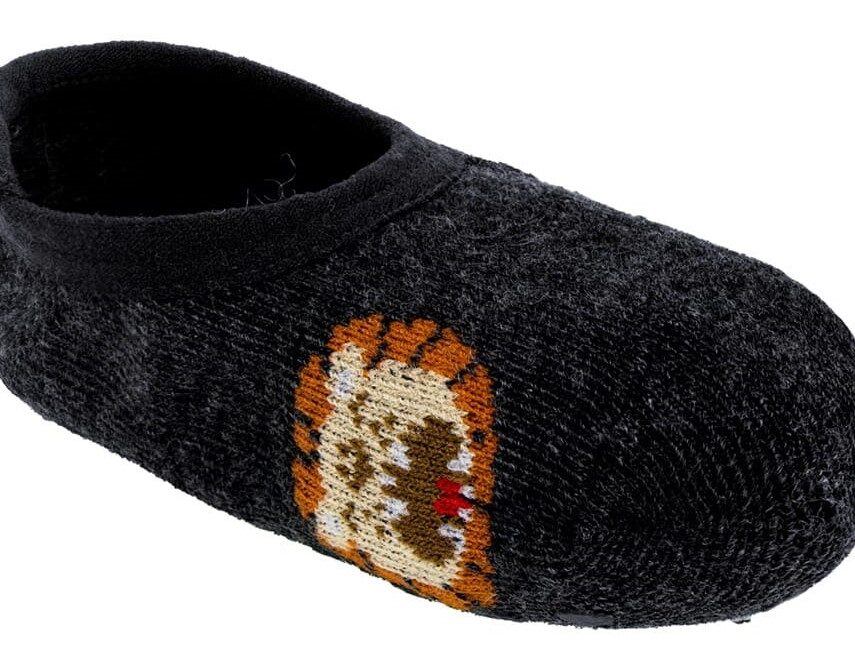 Meia Infantil Sapatilha Masculina Antiderrapante Cinza Leão Fernanda Ramos Kids