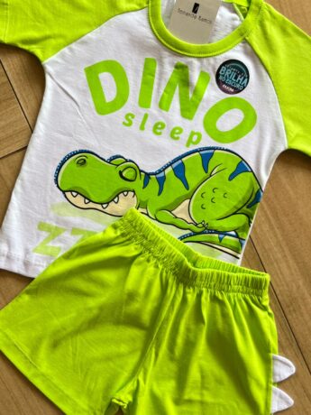fernandaramoskids com br Conjunto Infantil Masculino Camiseta Dino e Bermuda Verde Lima1
