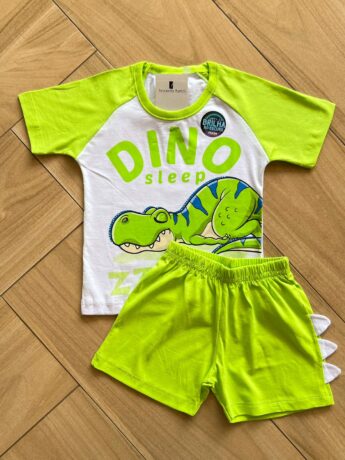Conjunto Infantil Masculino Camiseta Dino e Bermuda Verde Lima Fernanda Ramos Kids
