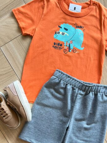 fernandaramoskids com br Conjunto Infantil Masculino Camiseta e Bermuda Dino 1
