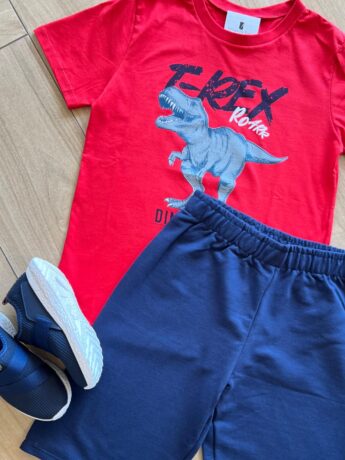 fernandaramoskids com br Conjunto Infantil Masculino Camiseta e Bermuda Tiranossauro 1