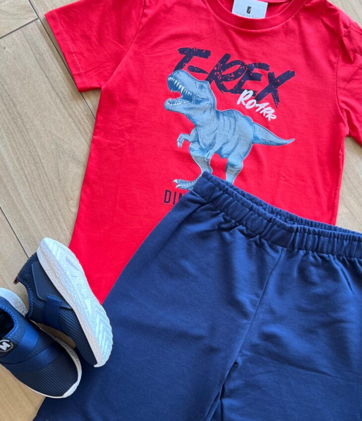 fernandaramoskids com br Conjunto Infantil Masculino Camiseta e Bermuda Tiranossauro 1