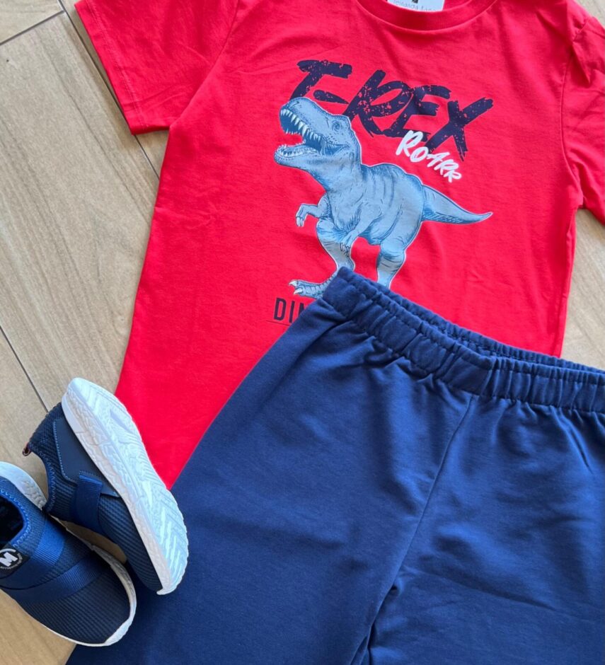 fernandaramoskids com br Conjunto Infantil Masculino Camiseta e Bermuda Tiranossauro 1