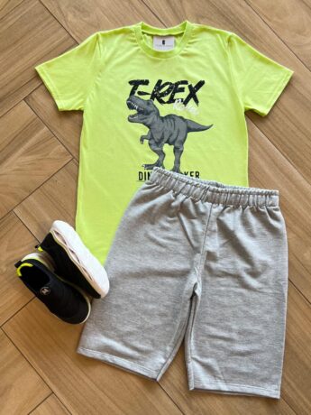 Conjunto Infantil Masculino Camiseta e Bermuda Tiranossauro Verde Fernanda Ramos Kids