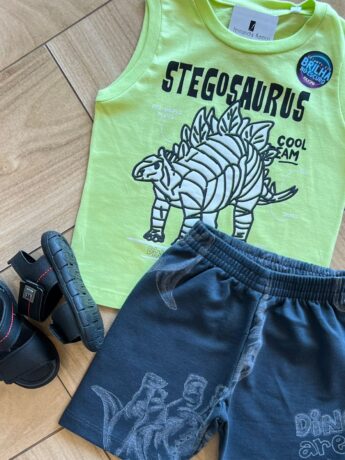fernandaramoskids com br Conjunto Infantil Masculino Regata Stegosaurus e Bermuda Cinza1