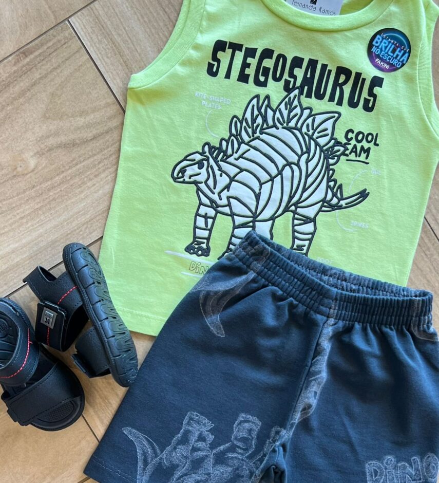 fernandaramoskids com br Conjunto Infantil Masculino Regata Stegosaurus e Bermuda Cinza1