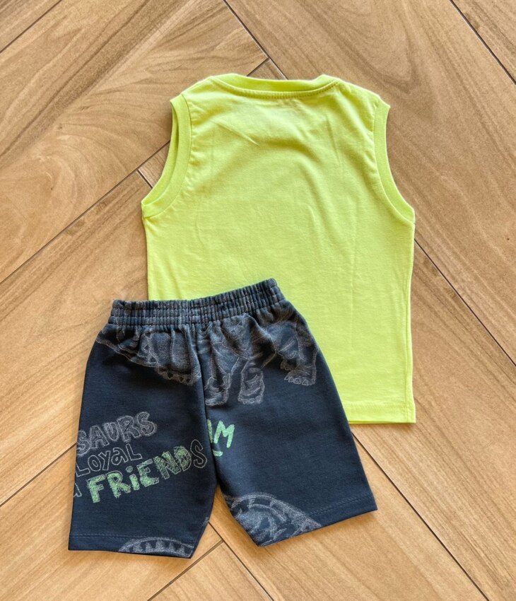 fernandaramoskids com br Conjunto Infantil Masculino Regata Stegosaurus e Bermuda Cinza2