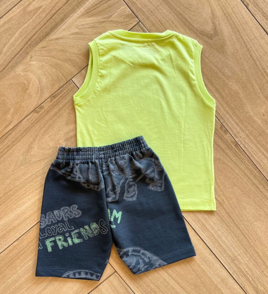 fernandaramoskids com br Conjunto Infantil Masculino Regata Stegosaurus e Bermuda Cinza2