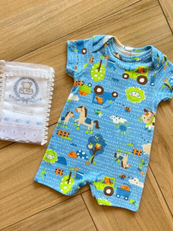 fernandaramoskids com br Macaquinho Infantil Masculino Manga Curta Meia Malha Azul Estampado 1