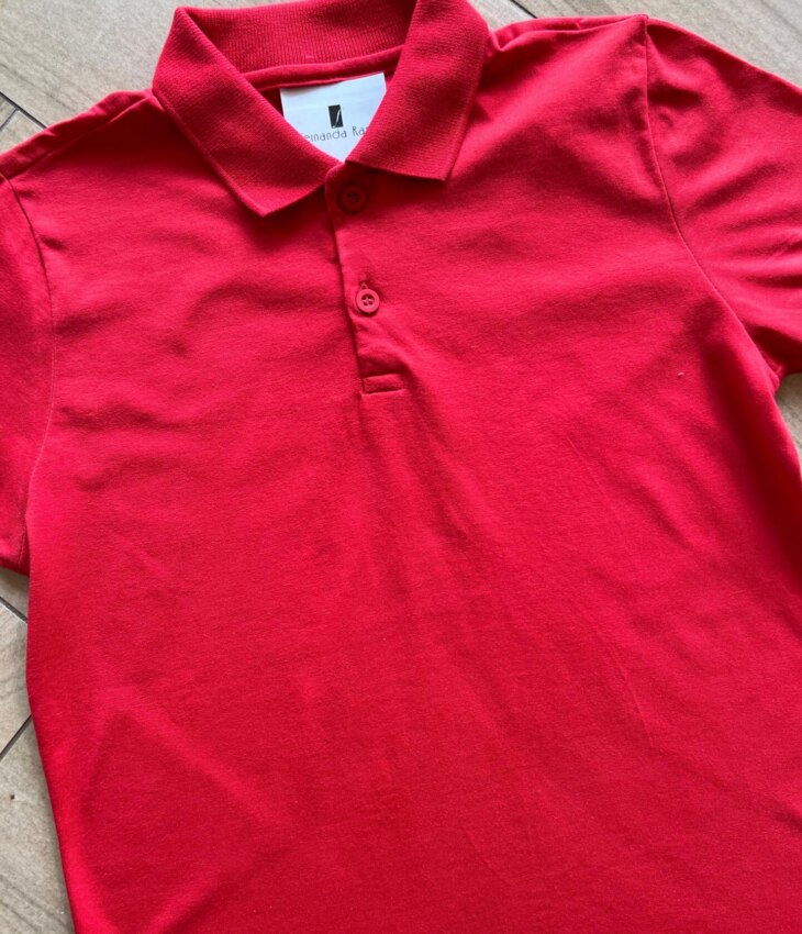 fernandaramoskids com br Camisa Infantil Masculina Polo Básica Manga Curta Vermelha1