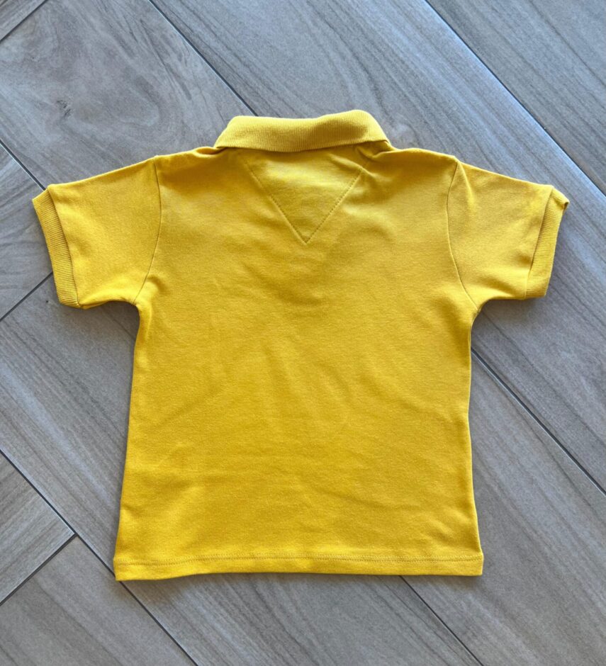 fernandaramoskids com br Camisa Infantil Masculina Polo em Suedine Mostarda2