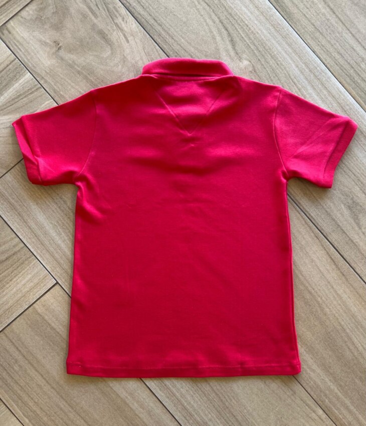 fernandaramoskids com br Camisa Infantil Masculina Polo Vermelha 2