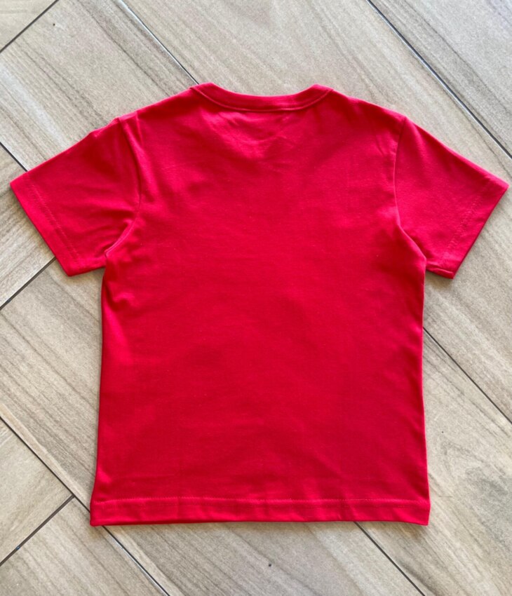 fernandaramoskids com br Camiseta Infantil Masculina Básica Manga Curta Aranha 2