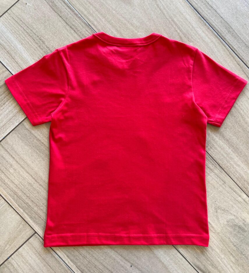 fernandaramoskids com br Camiseta Infantil Masculina Básica Manga Curta Aranha 2