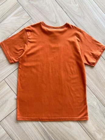 Camiseta Infantil Masculina Básica TerraCota Fernanda Ramos Kids
