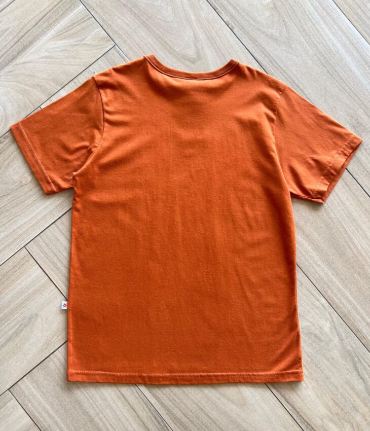 Camiseta Infantil Masculina Básica TerraCota Fernanda Ramos Kids
