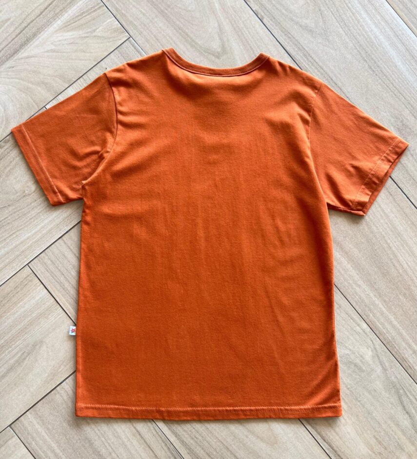 Camiseta Infantil Masculina Básica TerraCota Fernanda Ramos Kids