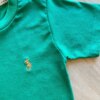fernandaramoskids com br Camiseta Infantil Masculina Básica Verde Bandeira1