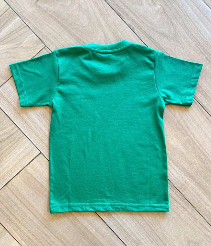 fernandaramoskids com br Camiseta Infantil Masculina Básica Verde Bandeira2