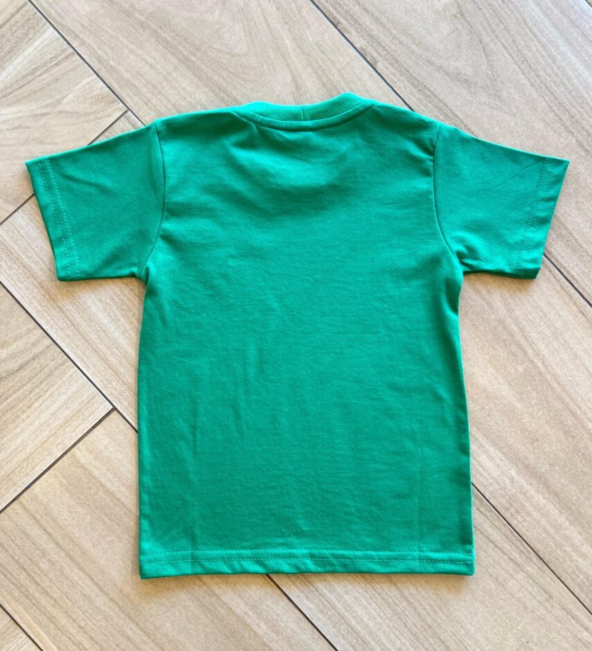 fernandaramoskids com br Camiseta Infantil Masculina Básica Verde Bandeira2