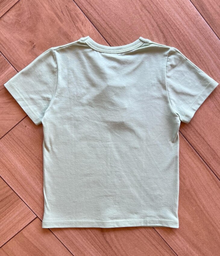 fernandaramoskids com br Camiseta Infantil Masculina Básica Verde Claro2