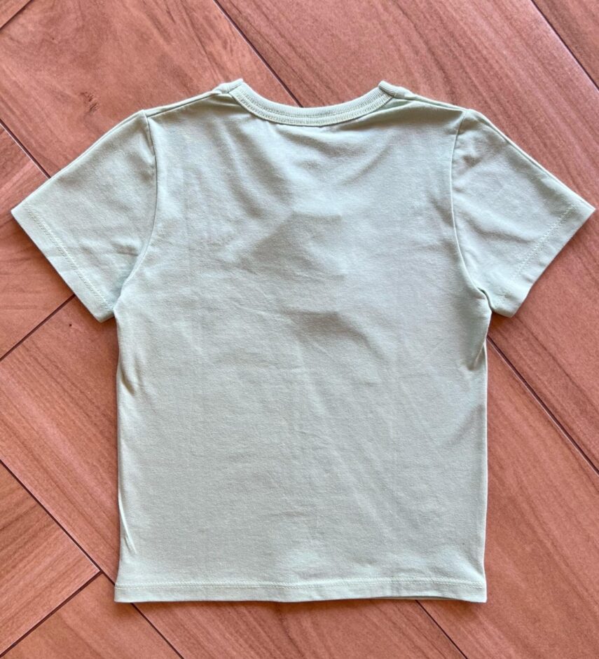 fernandaramoskids com br Camiseta Infantil Masculina Básica Verde Claro2