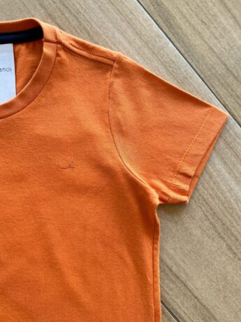 fernandaramoskids com br Camiseta Infantil Masculina Essencial Laranja1