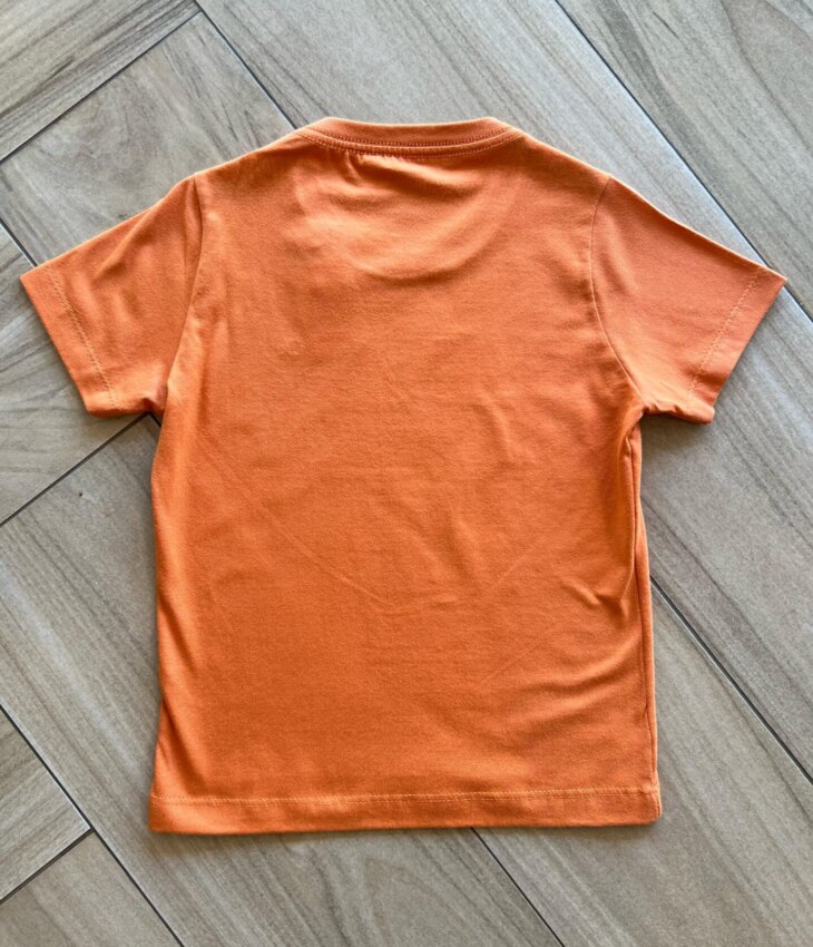 fernandaramoskids com br Camiseta Infantil Masculina Essencial Laranja2