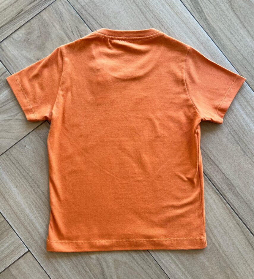 fernandaramoskids com br Camiseta Infantil Masculina Essencial Laranja2