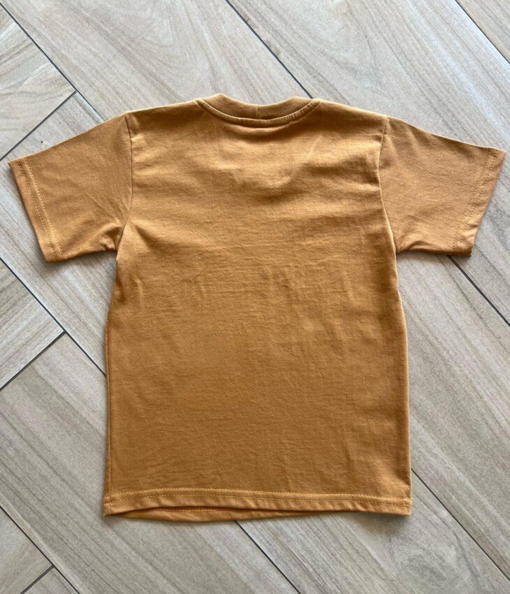 fernandaramoskids com br Camiseta Infantil Masculina Manga Curta Básica Caramelo2