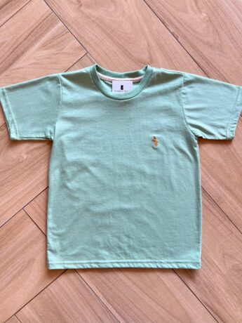 Camiseta Infantil Masculina Manga Curta Básica Verde Oliva Fernanda Ramos Kids