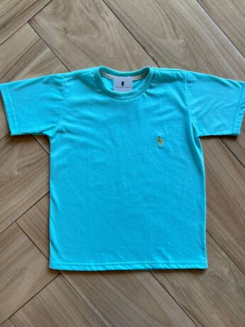 Camiseta Infantil Masculina Manga Curta Básica Verde Piscina Fernanda Ramos Kids