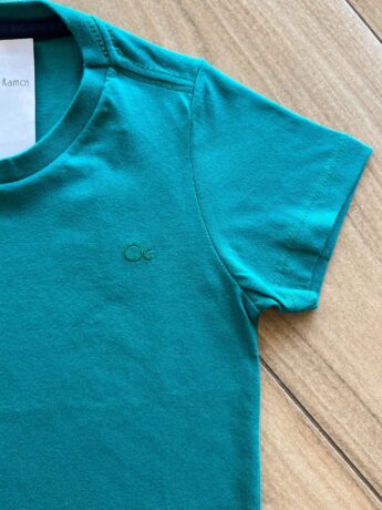 fernandaramoskids com br Camiseta Infantil Masculina Manga Curta Essencial Verde1
