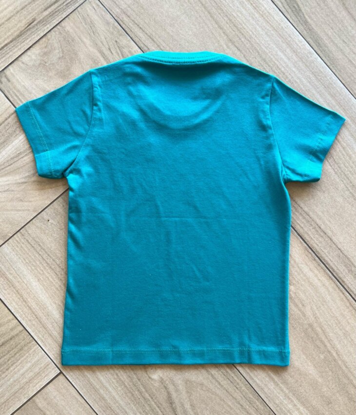 fernandaramoskids com br Camiseta Infantil Masculina Manga Curta Essencial Verde2