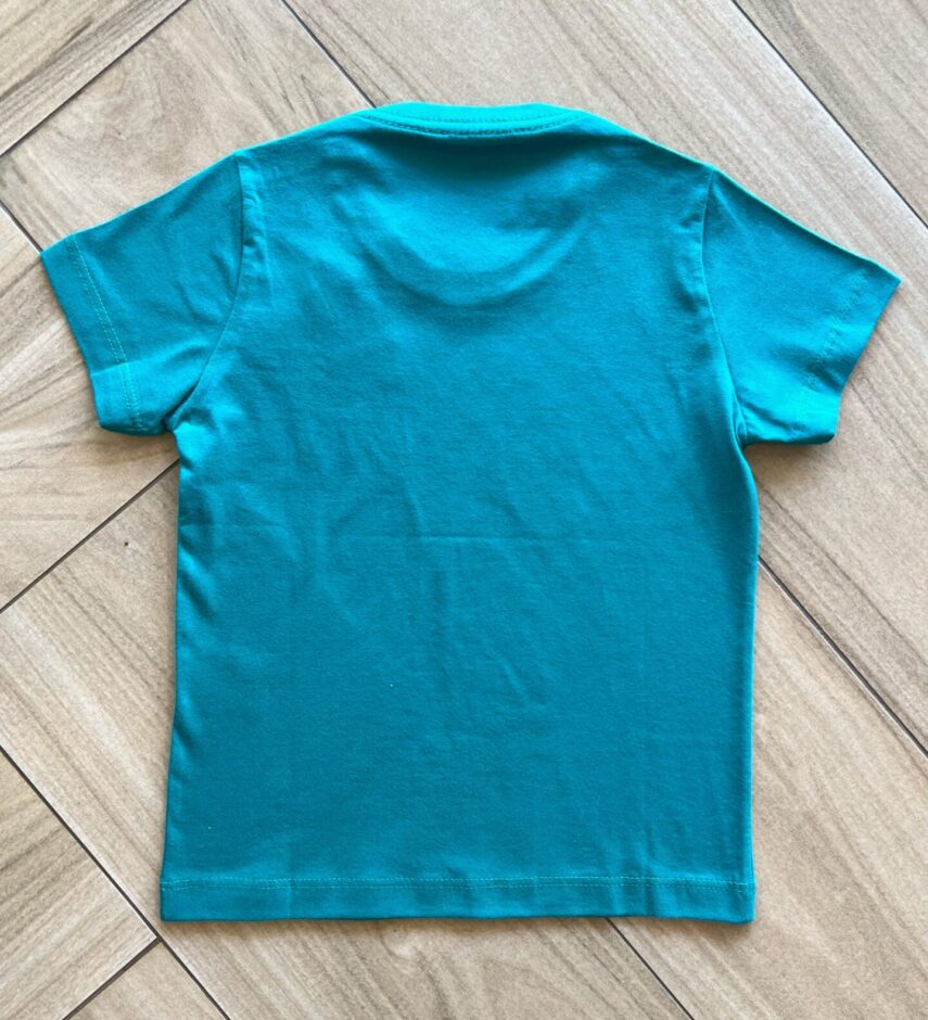fernandaramoskids com br Camiseta Infantil Masculina Manga Curta Essencial Verde2