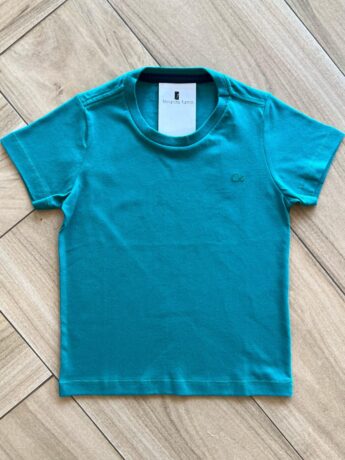 Camiseta Infantil Masculina Manga Curta Essencial Verde Fernanda Ramos Kids