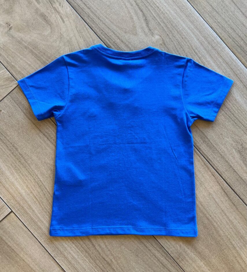 fernandaramoskids com br Camiseta Infantil Masculina Manga Curta Meia Malha Azul2