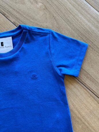 fernandaramoskids com br Camiseta Infantil Masculina Manga Curta Meia Malha Azul1