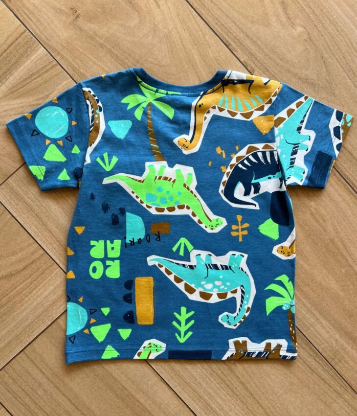 fernandaramoskids com br Camiseta Infantil Masculina Manga Curta Meia Malha Roarr Estampada2