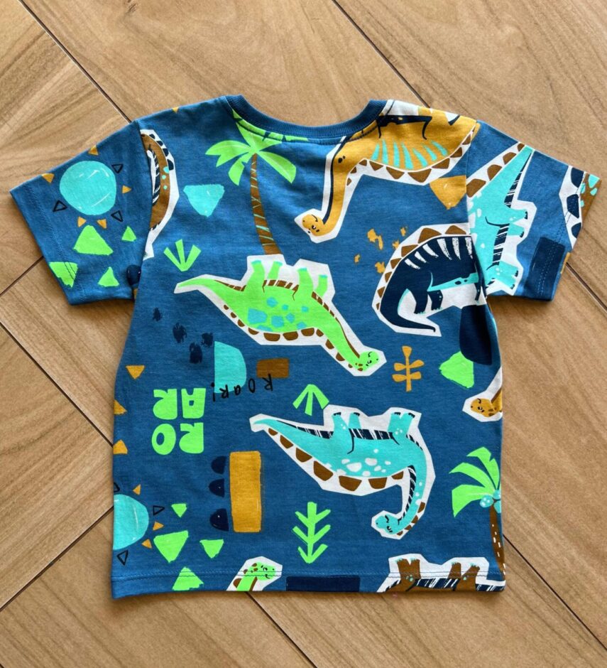 fernandaramoskids com br Camiseta Infantil Masculina Manga Curta Meia Malha Roarr Estampada2