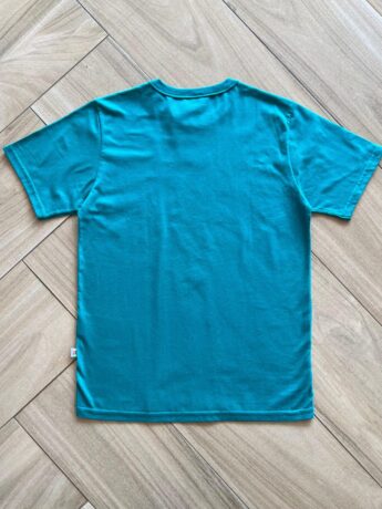Camiseta Juvenil Masculina Meia Malha Tradicional Verde Fernanda Ramos Kids