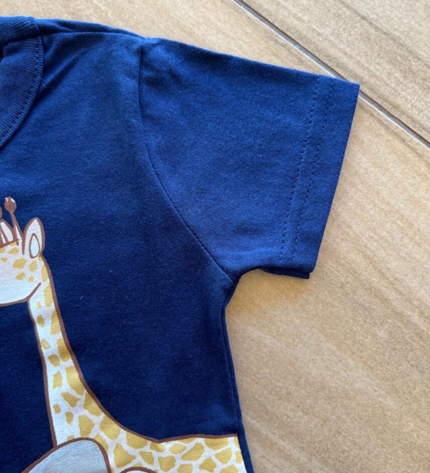 fernandaramoskids com br Conjunto Infantil Masculino Camiseta Azul e Bermuda Terra Cota 1