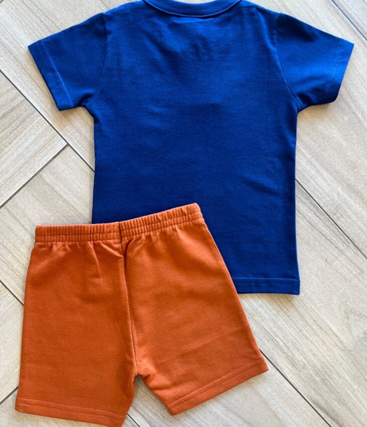 fernandaramoskids com br Conjunto Infantil Masculino Camiseta Azul e Bermuda Terra Cota 3