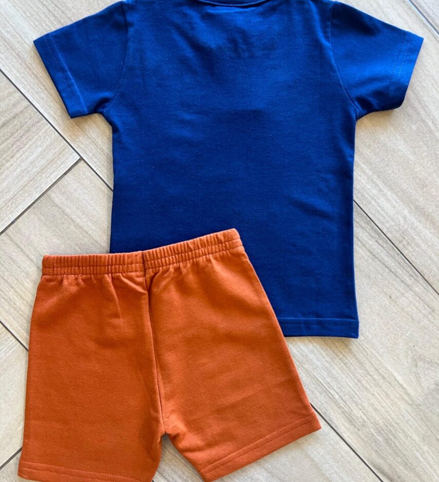 fernandaramoskids com br Conjunto Infantil Masculino Camiseta Azul e Bermuda Terra Cota 3