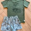 fernandaramoskids com br Conjunto Infantil Masculino Camiseta Coqueiro e Bermuda Verde 2