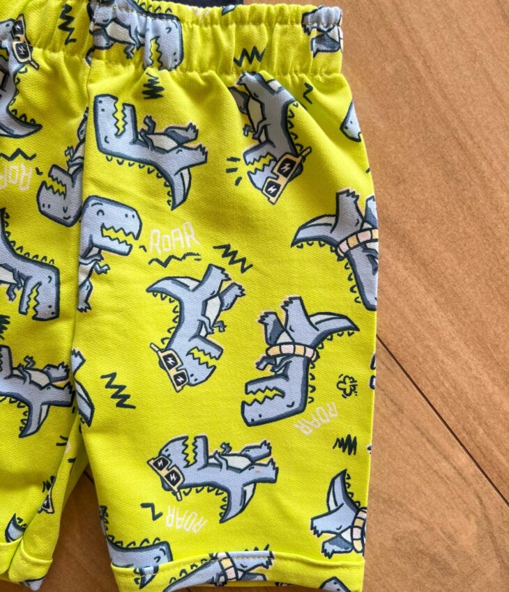 fernandaramoskids com br Conjunto Infantil Masculino Camiseta Tem um Dino na Cidade e Bermuda2
